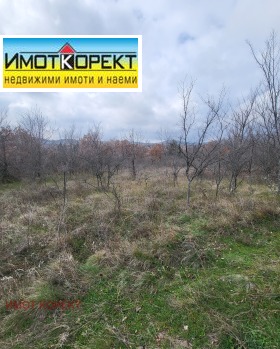 ������� ������ | Imot.bg � ����� ������ 3