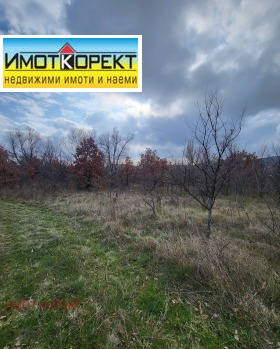 ������ ������� ������