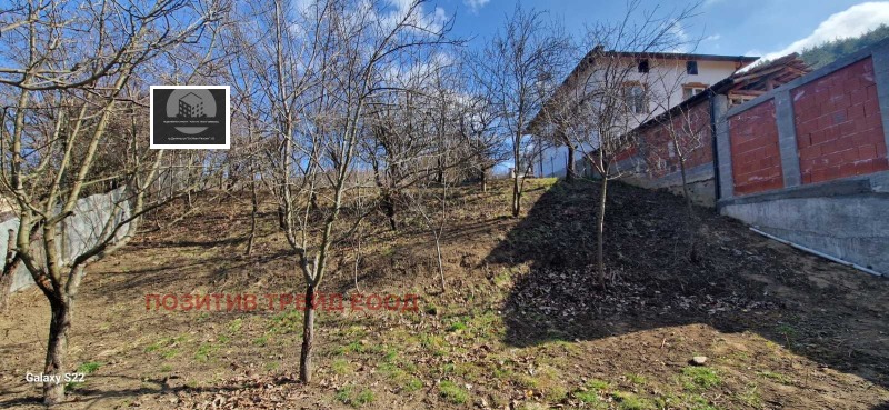 Zu verkaufen  Handlung region Kjustendil , Saparewa banja , 700 qm | 25481916 - Bild [2]