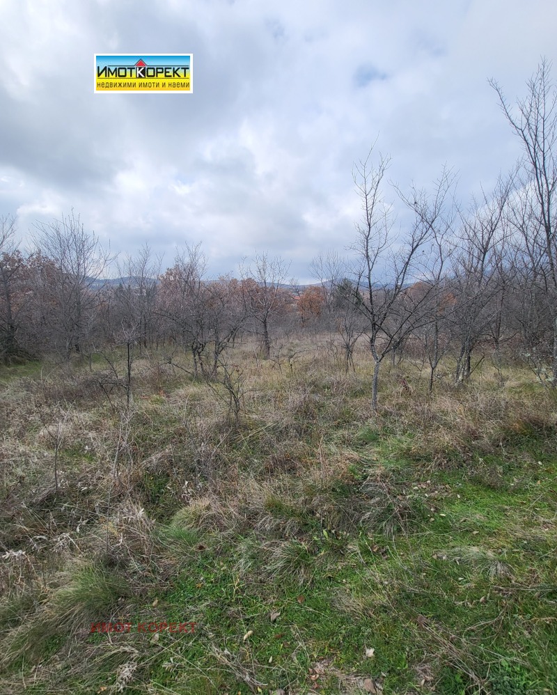 Продава ПАРЦЕЛ, с. Елшица, област Пазарджик, снимка 3 - Парцели - 53284563