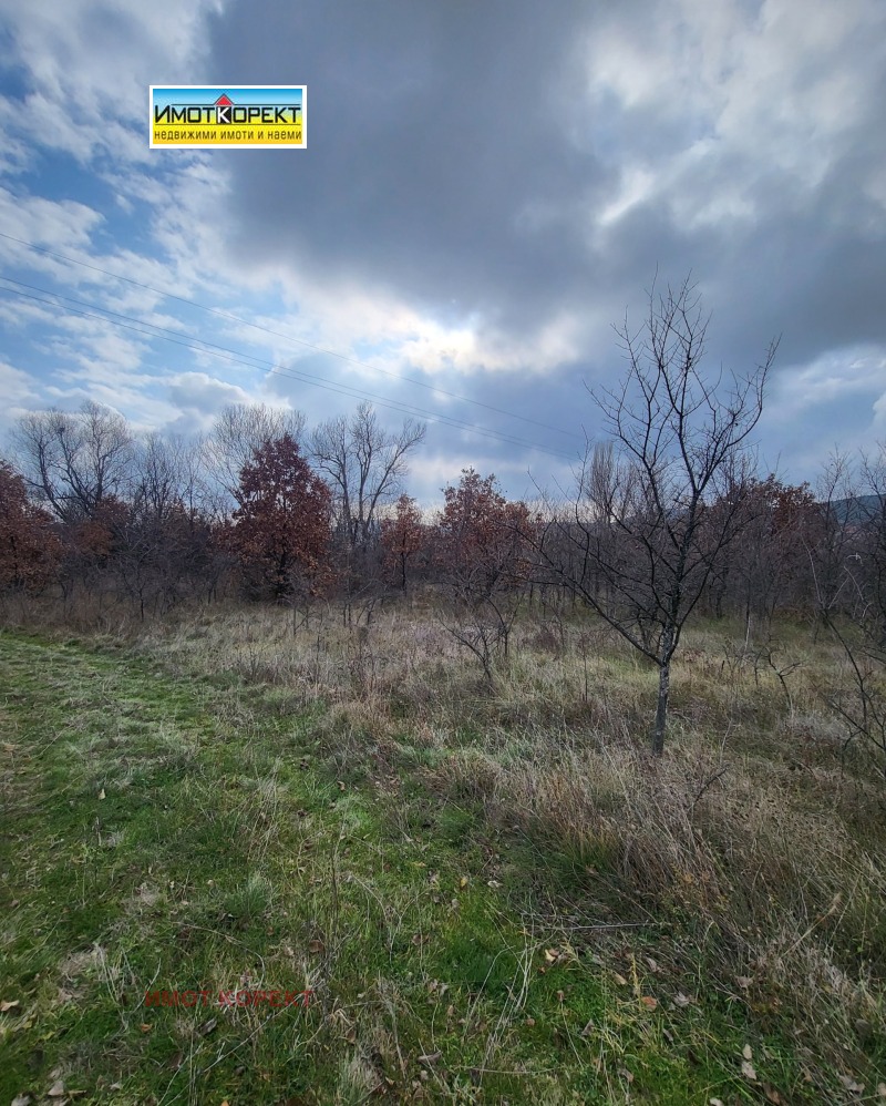 Продава ПАРЦЕЛ, с. Елшица, област Пазарджик