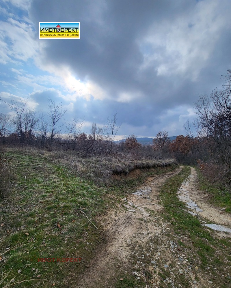 Продава ПАРЦЕЛ, с. Елшица, област Пазарджик, снимка 5 - Парцели - 53284563