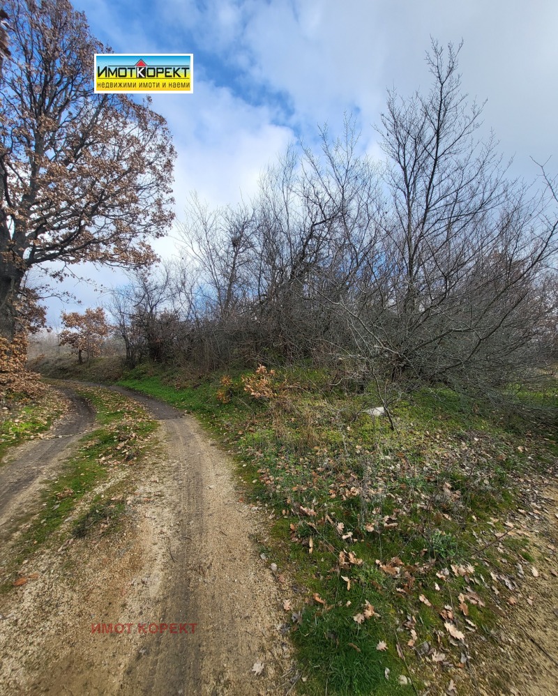 Продава ПАРЦЕЛ, с. Елшица, област Пазарджик, снимка 6 - Парцели - 53284563