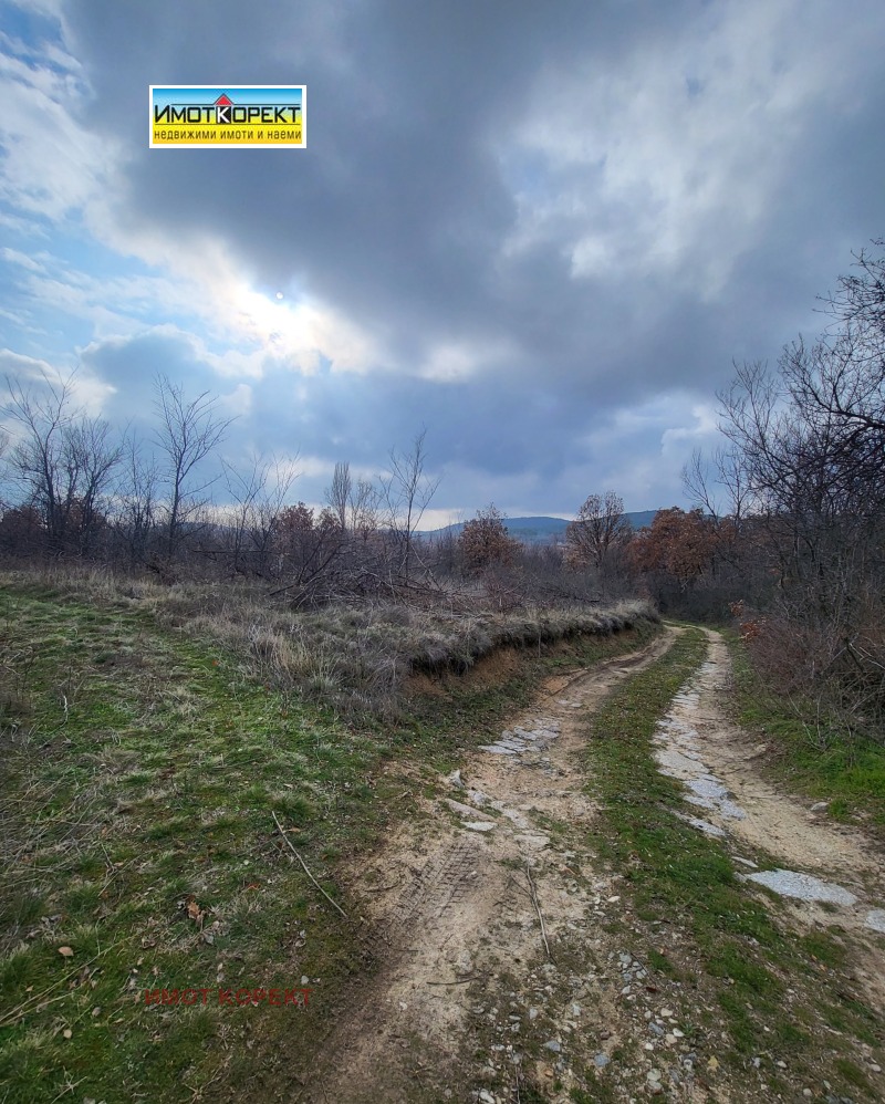 Продава ПАРЦЕЛ, с. Елшица, област Пазарджик, снимка 4 - Парцели - 53284563