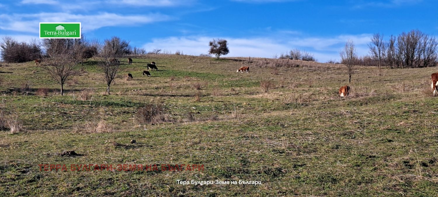Продава ЗЕМЕДЕЛСКА ЗЕМЯ, с. Витановци, област Перник, снимка 4 - Земеделска земя - 53788699