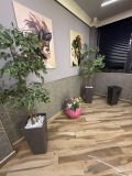 Продава  3-стаен град София , Витоша , 105 кв.м | 46520390 - изображение [10]