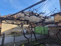 Продава КЪЩА, с. Врачеш, област София област, снимка 6