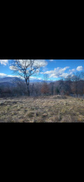 Продава ПАРЦЕЛ, област Габрово, с. Кръвеник • 13000 € • 66590518 — Holmes.bg