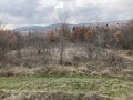 Продава ПАРЦЕЛ, с. Елшица, област Пазарджик, снимка 7
