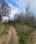 Продава ПАРЦЕЛ, с. Елшица, област Пазарджик, снимка 6