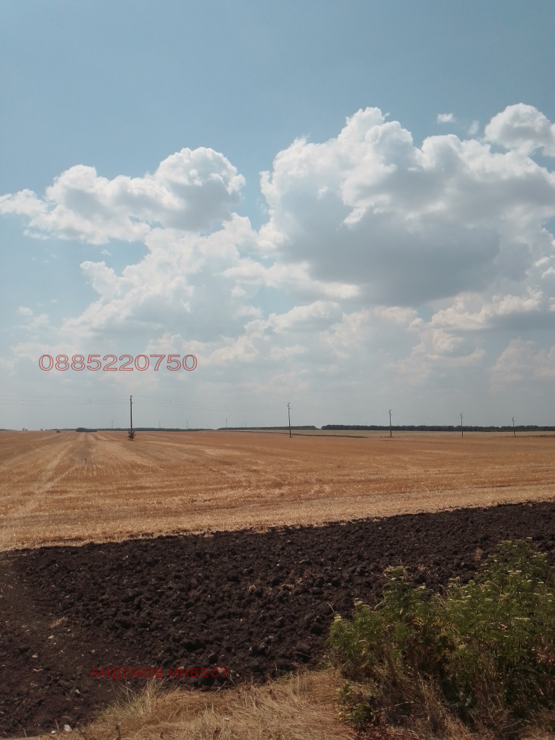 Продава ЗЕМЕДЕЛСКА ЗЕМЯ, с. Плачидол, област Добрич