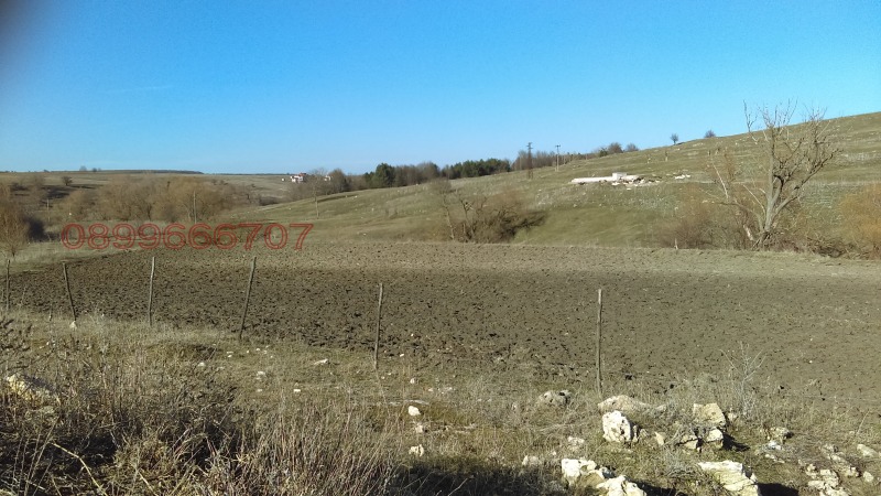 Til salg  Jord region Varna , Nikolaevka , 9.591 dka | 43476935 - billede [3]