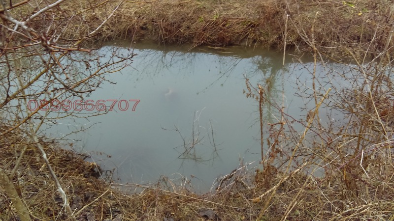 Til salg  Jord region Varna , Nikolaevka , 9.591 dka | 43476935 - billede [2]