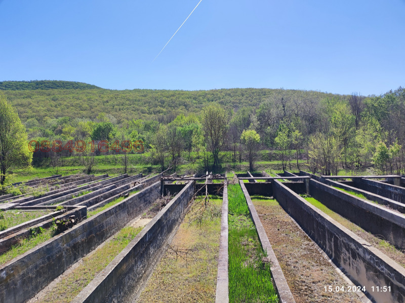 Продава БИЗНЕС ИМОТ, с. Прилеп, област Добрич