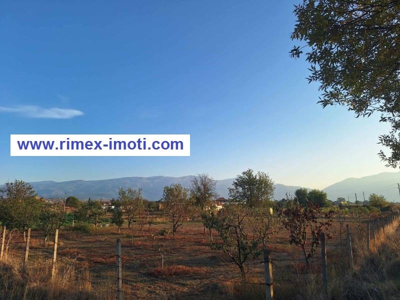 ������� ������ | Imot.bg � ����������� 2