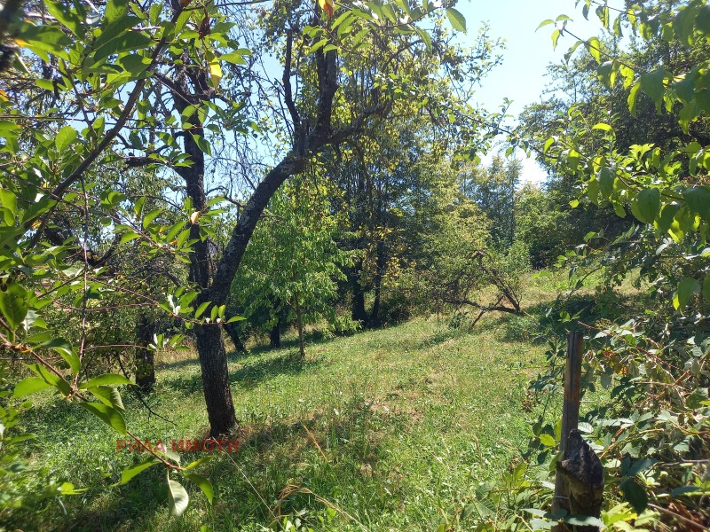 Продава ПАРЦЕЛ в област София, с. Радуил - 912 кв.м / 19 800 € » 38 725.43 лв., РИЛА ИМОТИ