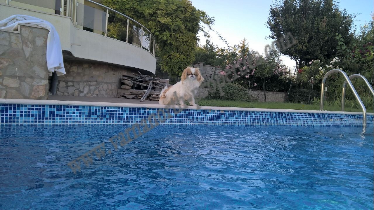 ������� ���� | Imot.bg � ����������� 4