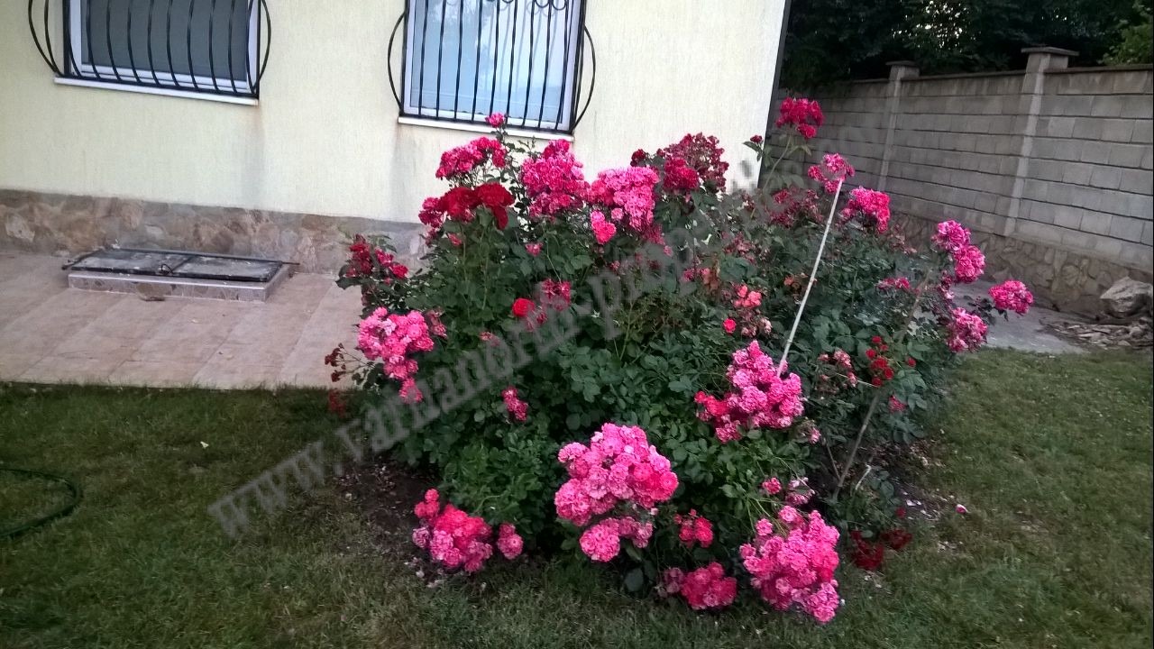 ������� ���� | Imot.bg � ����������� 8