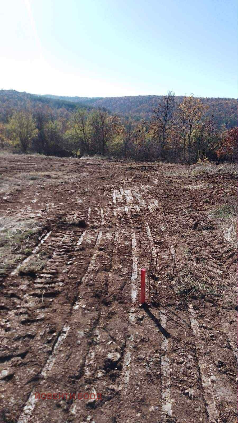 ������� ������ | Imot.bg � ����������� 2