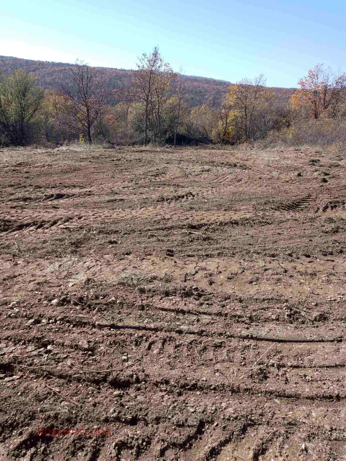 ������� ������ | Imot.bg � ����������� 7