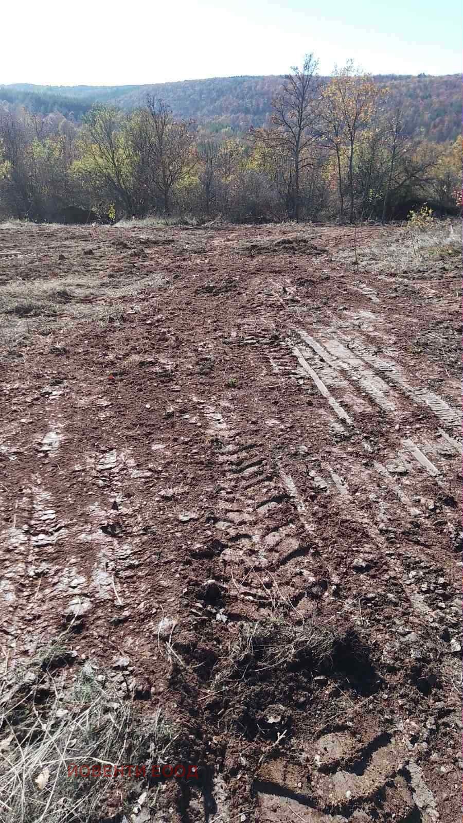 ������� ������ | Imot.bg � ����������� 6