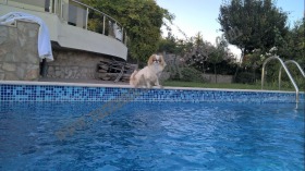 ������� ���� | Imot.bg � ����� ������ 4