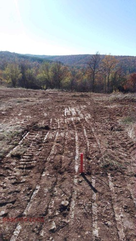 ������� ������ | Imot.bg � ����� ������ 2