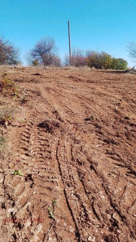 ������� ������ | Imot.bg � ����� ������ 4