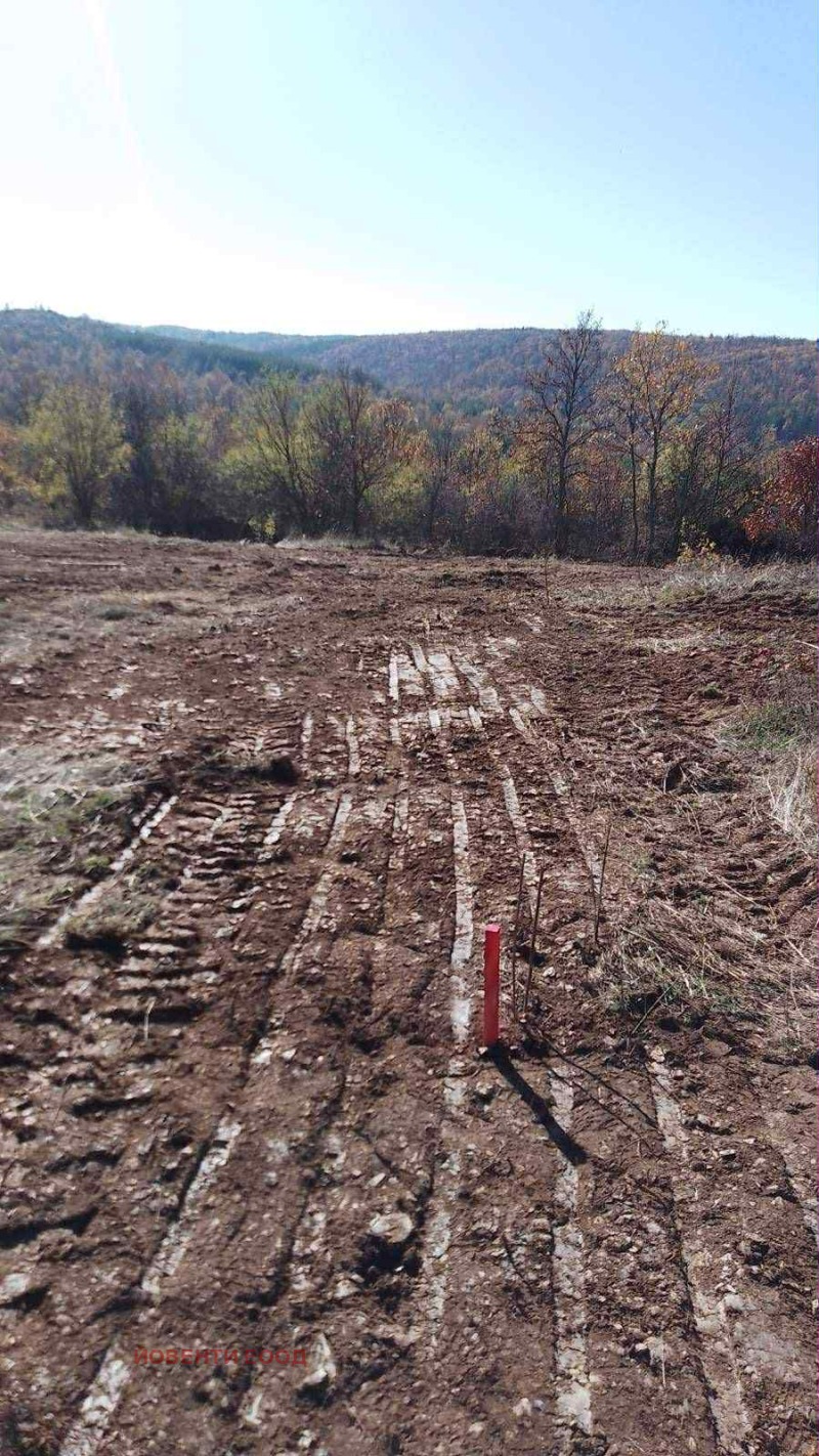 Продава ПАРЦЕЛ, с. Вакарел, област София област, снимка 2 - Парцели - 52525899