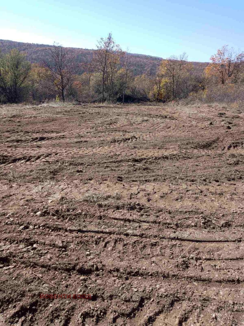 Продава ПАРЦЕЛ, с. Вакарел, област София област, снимка 7 - Парцели - 52525899