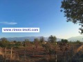 Продава ПАРЦЕЛ, област Пловдив, с. Куртово Конаре • 62000 € • 73137387 — Holmes.bg