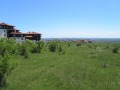Продава  Парцел област Бургас , с. Кошарица , 6001 кв.м | 34624991