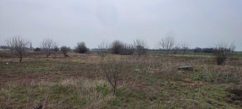 ������� ������ | Imot.bg � ����������� 6