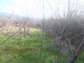 ����� ������� ������,��. ����������, ������ ������ �������