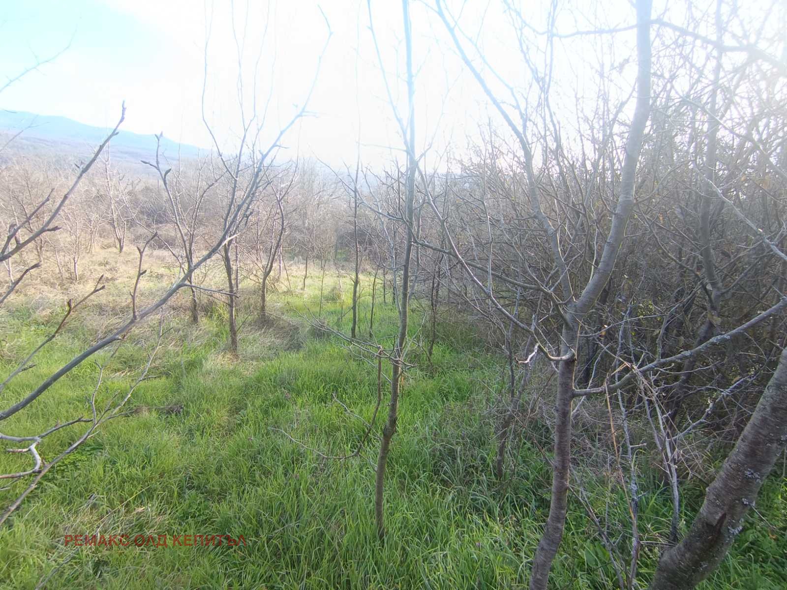 Продава ПАРЦЕЛ, гр. Килифарево, област Велико Търново