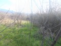 Продава ПАРЦЕЛ, гр. Килифарево, област Велико Търново, снимка 1