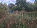 Продава  Парцел област София , с. Владо Тричков , 960 кв.м | 27157866 - изображение [2]