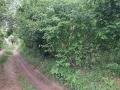 Продава ПАРЦЕЛ, област София, с. Владо Тричков • 45000 € / 88012.35 лв. • 85980684 2