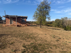 ������� ������ | Imot.bg � ����� ������ 6