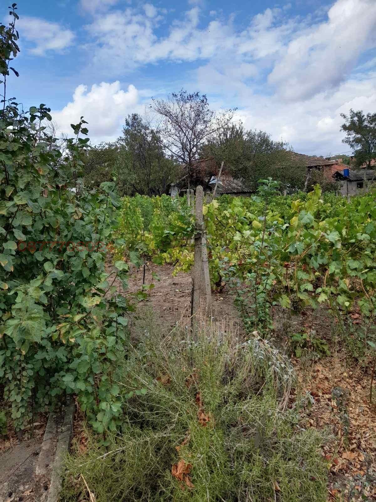 ������� ���� | Imot.bg � ����������� 10