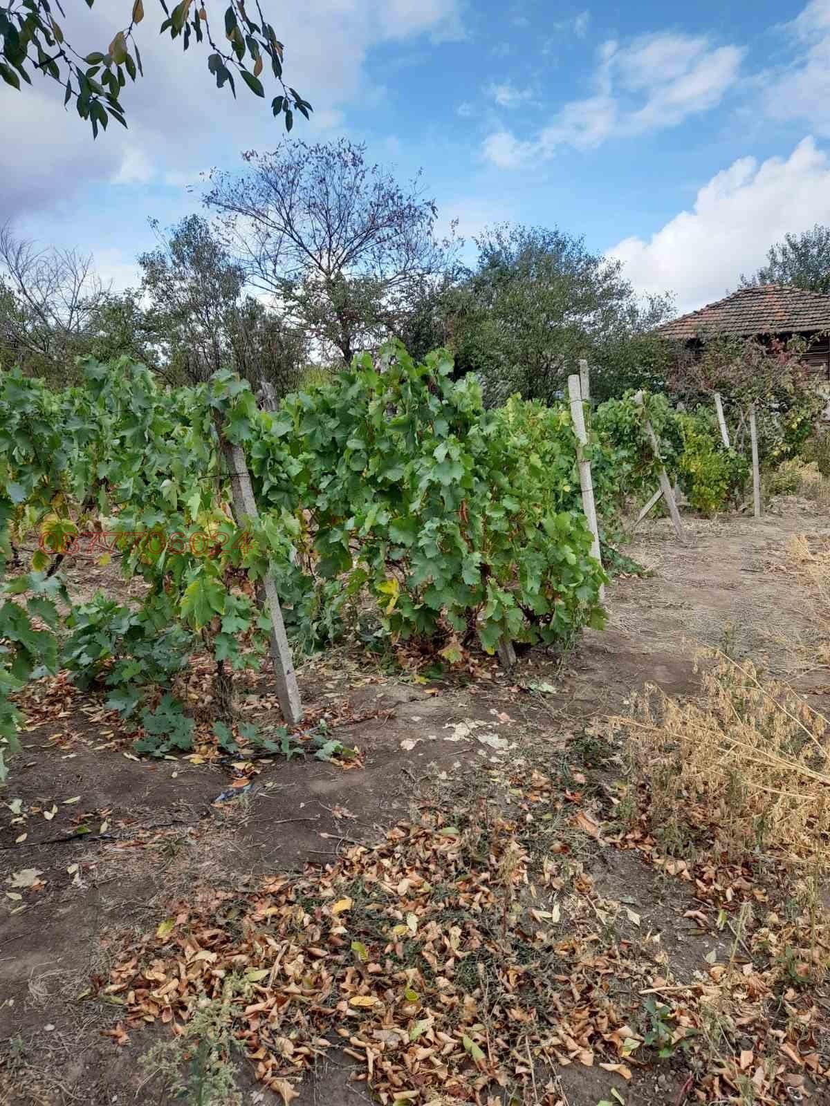 ������� ���� | Imot.bg � ����������� 13