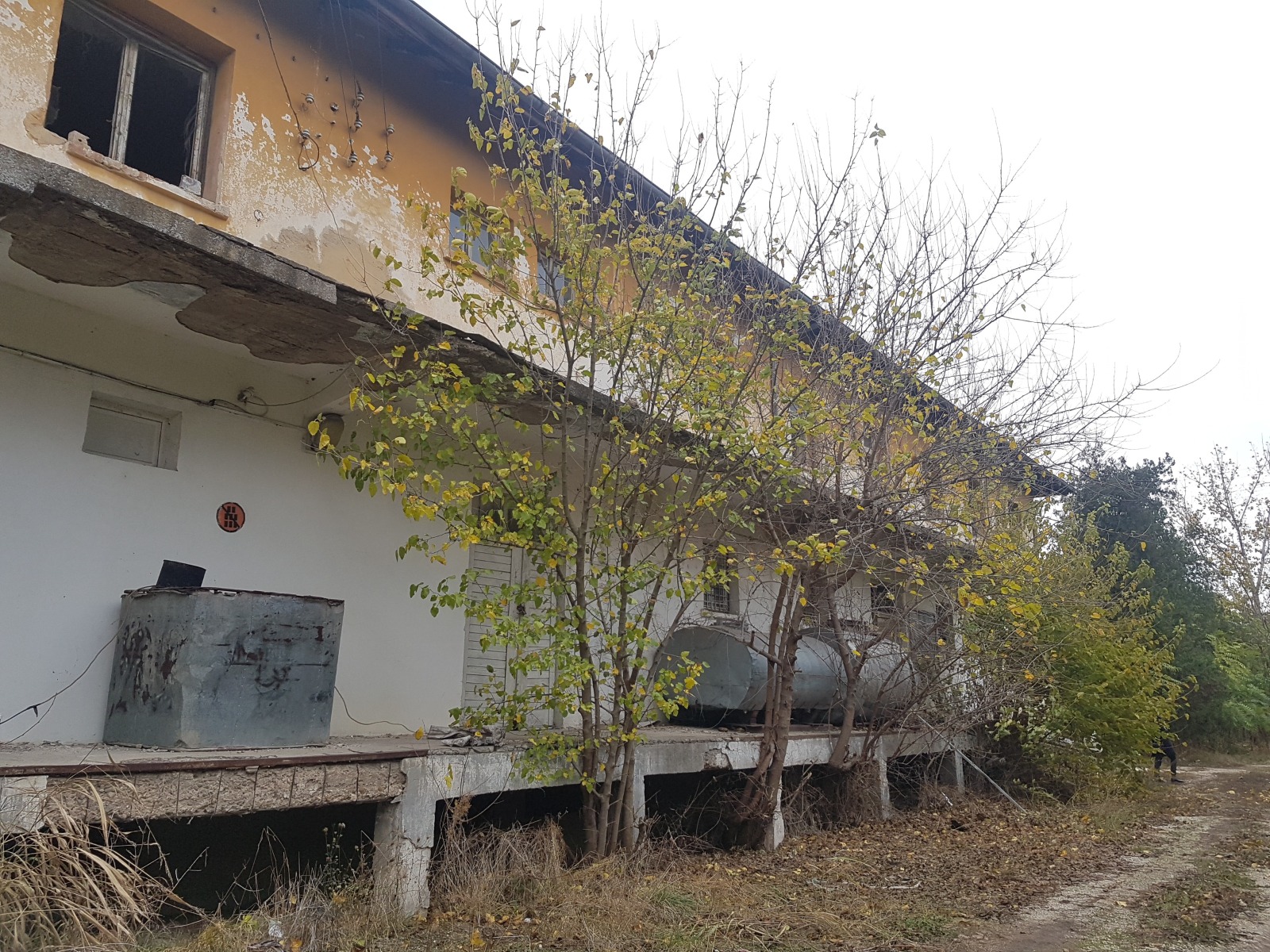 Продава ПРОМ. ПОМЕЩЕНИЕ, гр. Гулянци, област Плевен, снимка 6 - Производствени сгради - 55140613