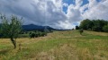 Продава ПАРЦЕЛ, с. Гела, област Смолян, снимка 12