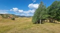 Продава ПАРЦЕЛ, с. Гела, област Смолян, снимка 3