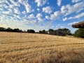 Продава КЪЩА, област Добрич, с. Змеево • 80000 € • 20386327 — Holmes.bg