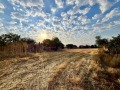Продава КЪЩА, област Добрич, с. Змеево • 80000 € • 20386327 — Holmes.bg