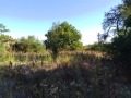 Продава КЪЩА, област Велико Търново, с. Мусина • 23520 € / 46001.12 лв. • 78585459 12