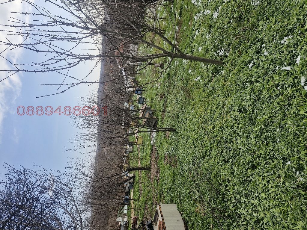 ������� ���� | Imot.bg � ����������� 4