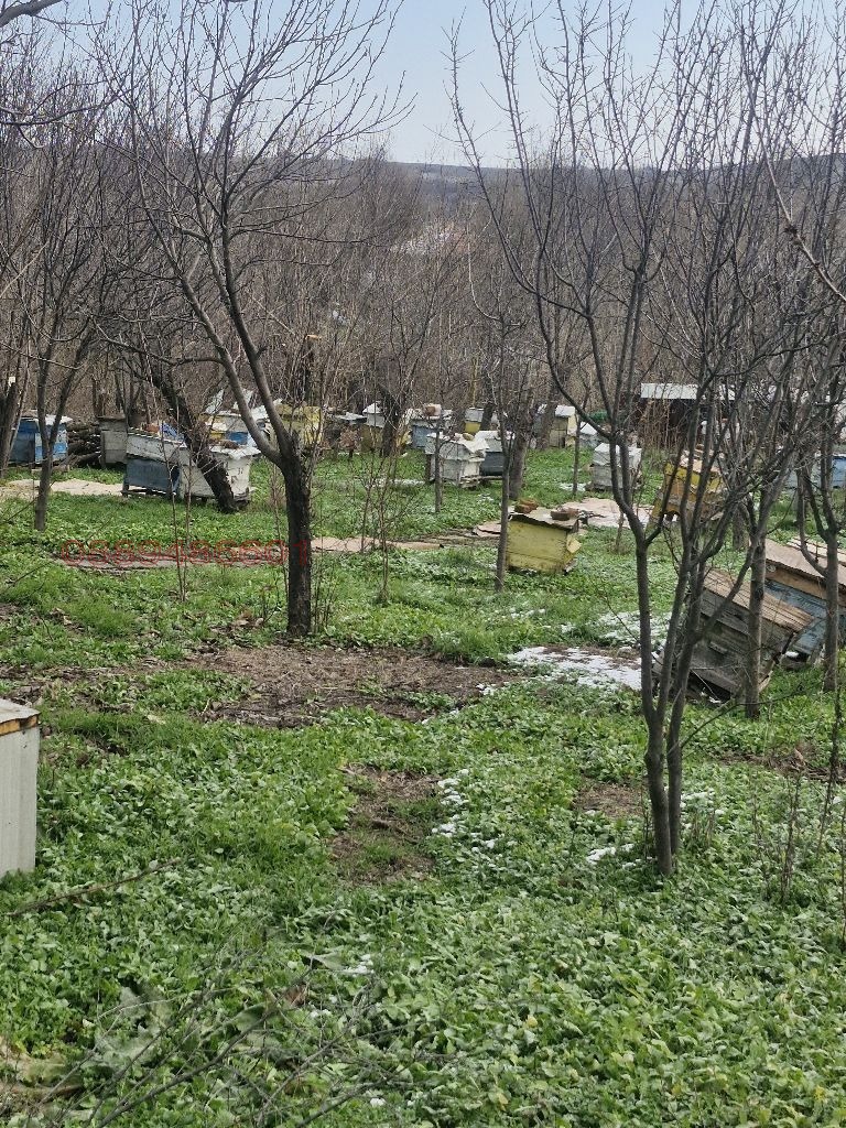 Продава КЪЩА, с. Златна ливада, област Стара Загора, снимка 5 - Къщи - 53138457