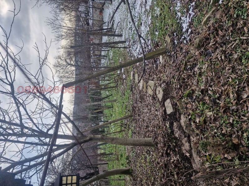 Продава КЪЩА, с. Златна ливада, област Стара Загора, снимка 12 - Къщи - 53138457